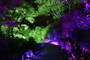 The Hurlingham Club